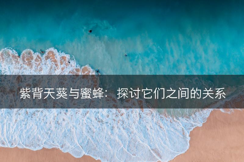 紫背天葵与蜜蜂：探讨它们之间的关系(图1)