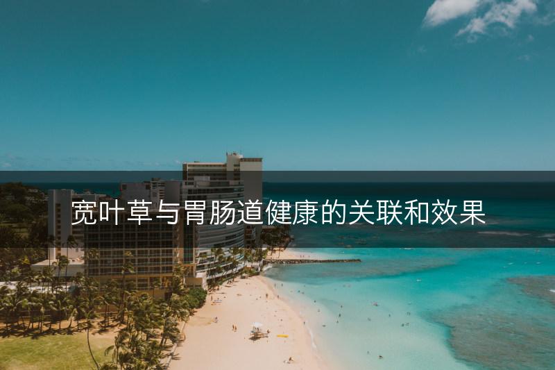 宽叶草与胃肠道健康的关联和效果(图1)