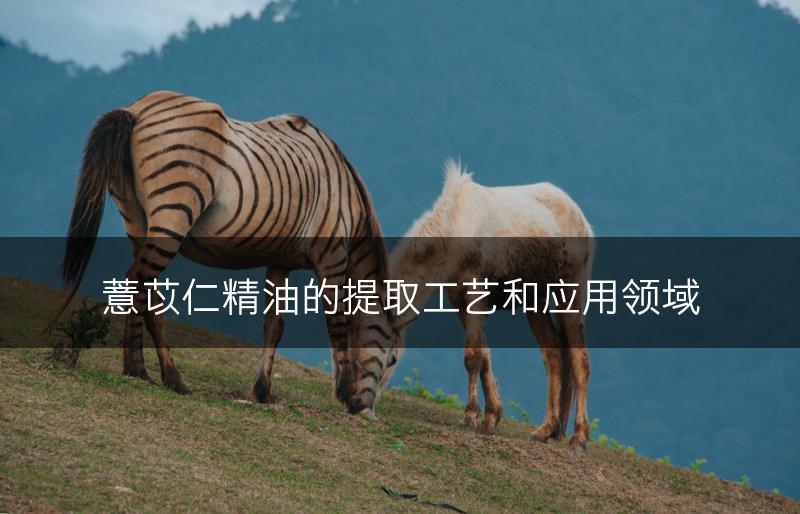 薏苡仁精油的提取工艺和应用领域(图1)