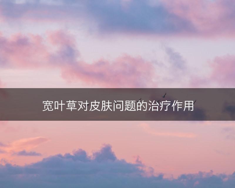 宽叶草对皮肤问题的治疗作用(图1)