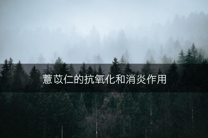 薏苡仁的抗氧化和消炎作用(图1)