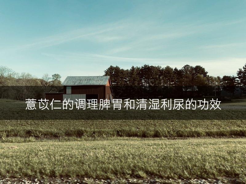 薏苡仁的调理脾胃和清湿利尿的功效(图1)