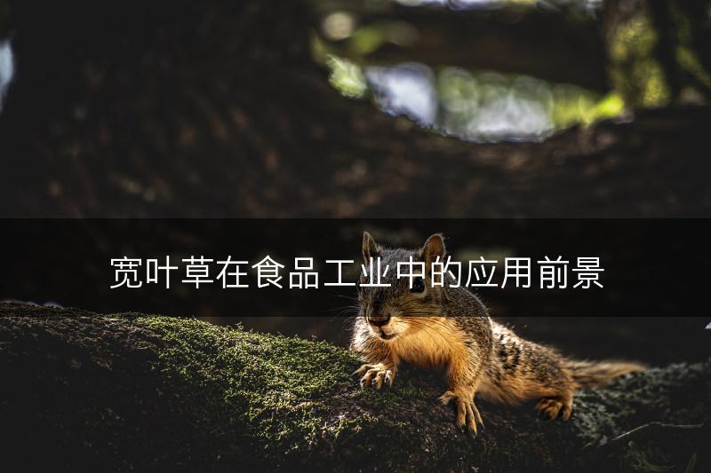 宽叶草在食品工业中的应用前景(图1)