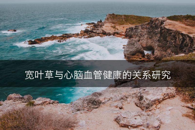 宽叶草与心脑血管健康的关系研究(图1)