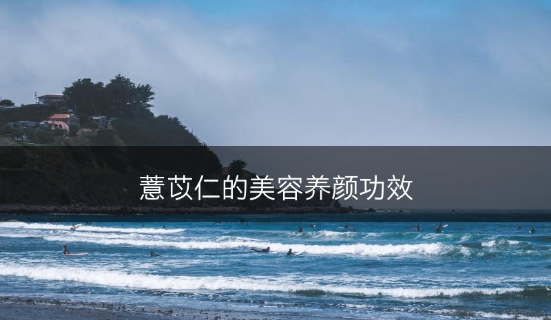 薏苡仁的美容养颜功效(图1)