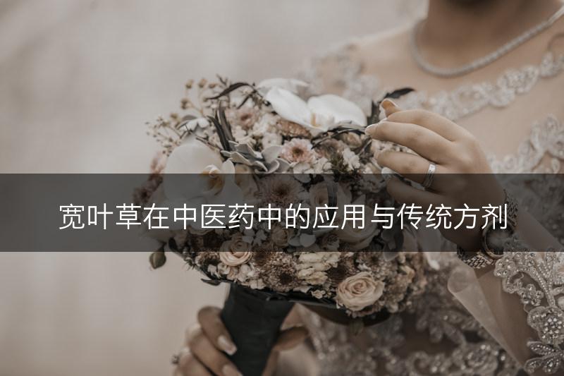 宽叶草在中医药中的应用与传统方剂(图1)