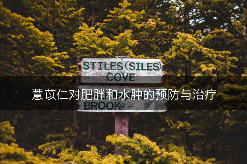 薏苡仁对肥胖和水肿的预防与治疗(图1)