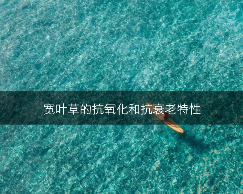 宽叶草的抗氧化和抗衰老特性(图1)