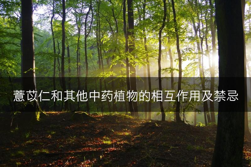 薏苡仁和其他中药植物的相互作用及禁忌(图1)