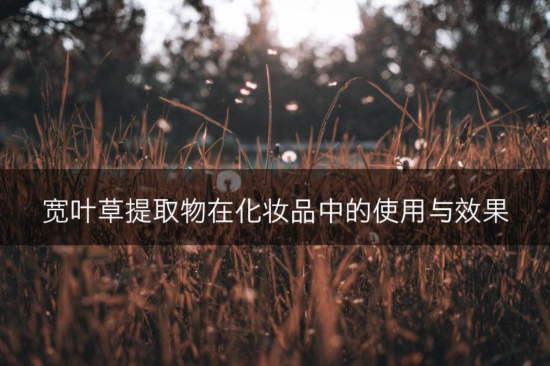 宽叶草提取物在化妆品中的使用与效果(图1)