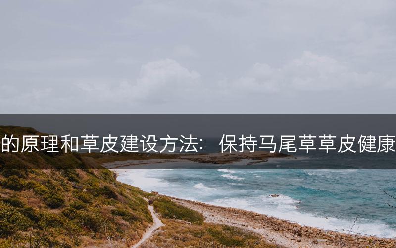 马尾草的原理和草皮建设方法：保持马尾草草皮健康和美观(图1)