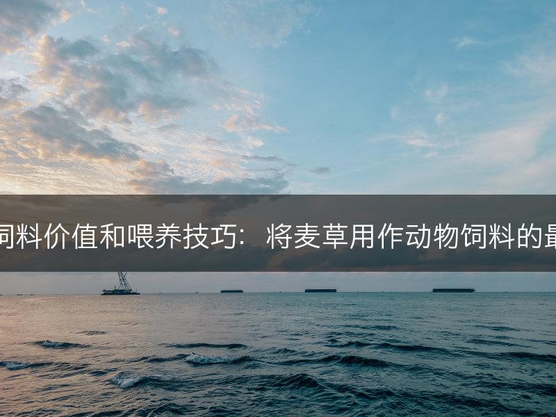 麦草的饲料价值和喂养技巧：将麦草用作动物饲料的最佳实践(图1)