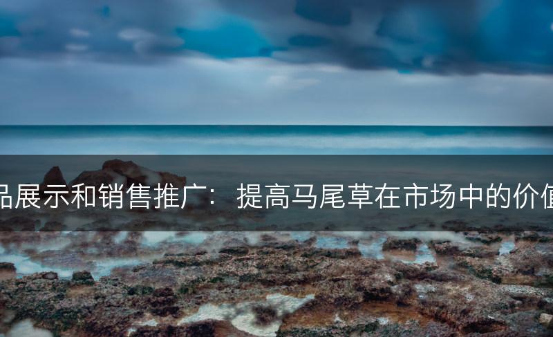 马尾草产品展示和销售推广：提高马尾草在市场中的价值和知名度(图1)