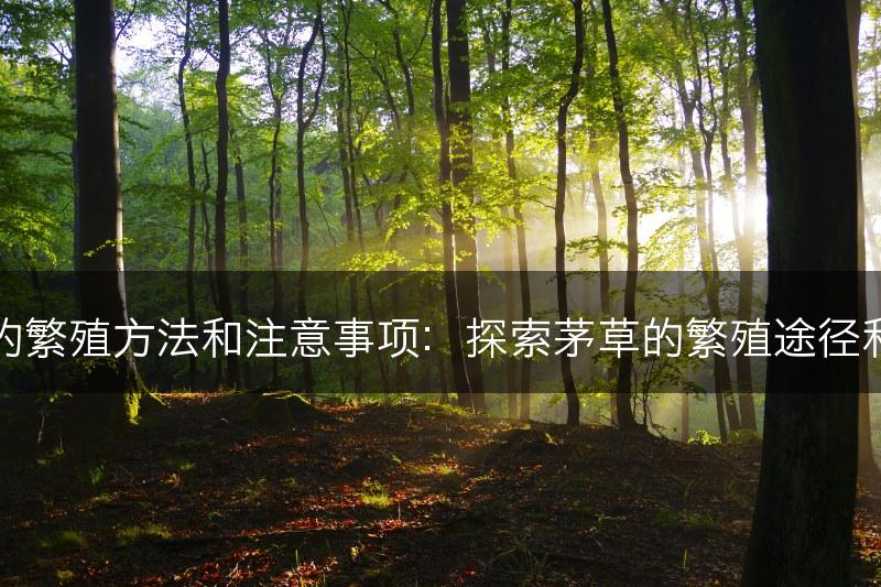 茅草的繁殖方法和注意事项：探索茅草的繁殖途径和技巧(图1)