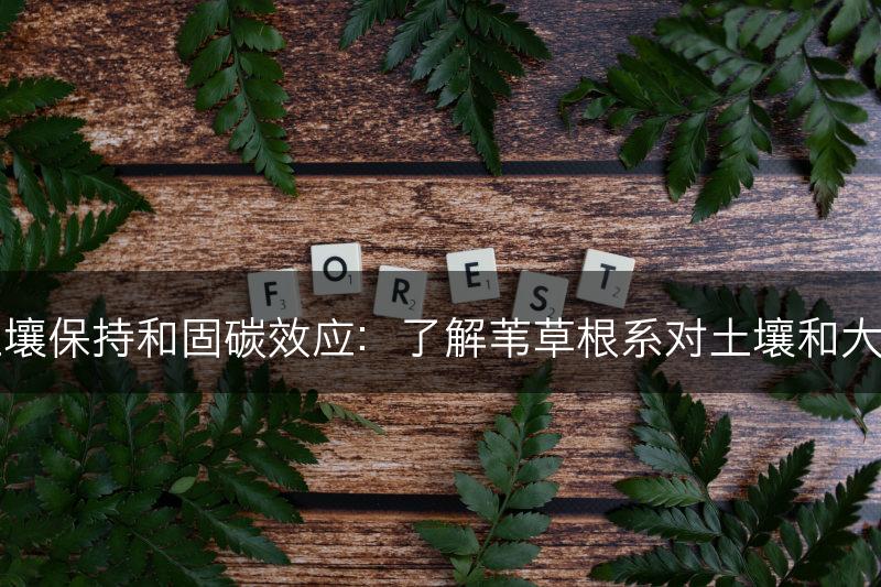 苇草根系的土壤保持和固碳效应：了解苇草根系对土壤和大气环境的影响(图1)