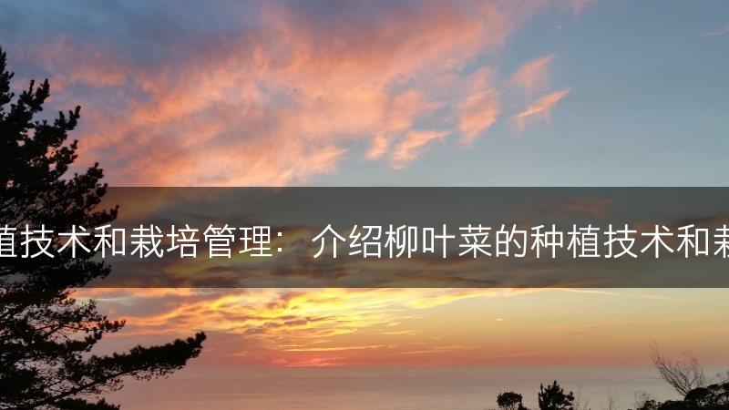 柳叶菜的种植技术和栽培管理：介绍柳叶菜的种植技术和栽培管理方法(图1)
