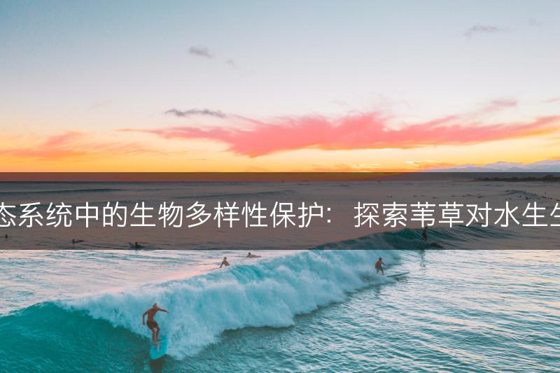 苇草在水生生态系统中的生物多样性保护：探索苇草对水生生物的保护作用(图1)