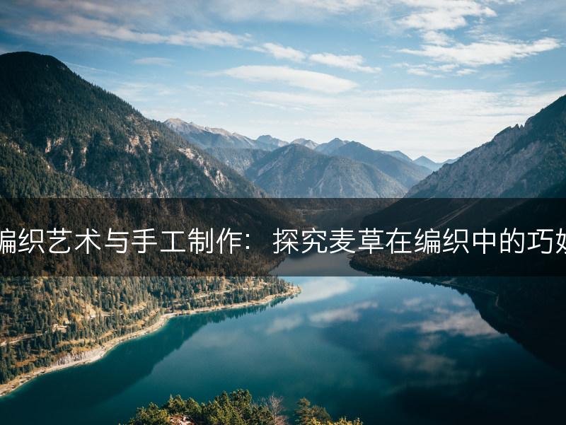 麦草编织艺术与手工制作：探究麦草在编织中的巧妙运用(图1)