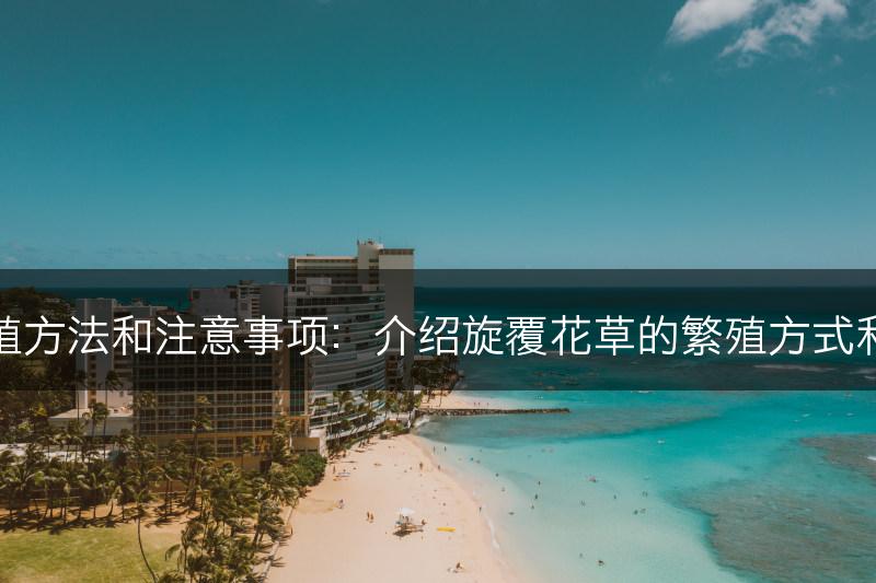 旋覆花草的繁殖方法和注意事项：介绍旋覆花草的繁殖方式和相关注意事项(图1)