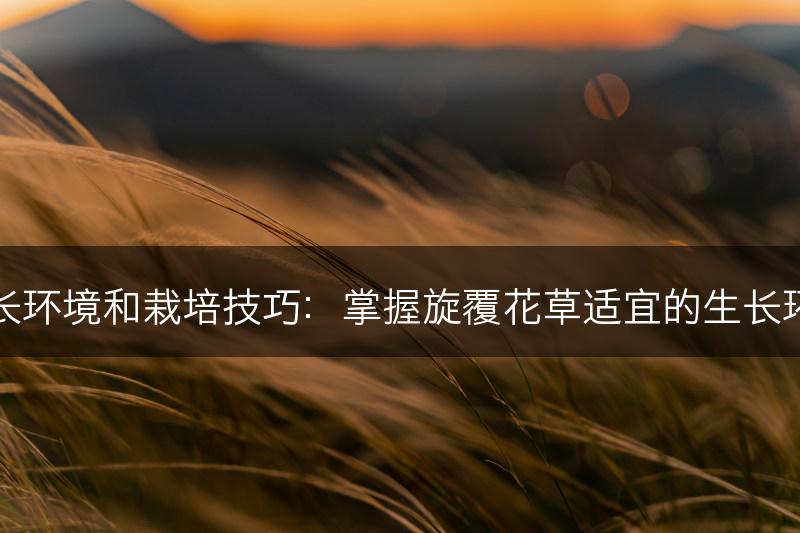 旋覆花草的生长环境和栽培技巧:掌握旋覆花草适宜的生长环境和栽培技巧(图1) 旋覆花草的生长环境和栽培技巧:掌握旋覆花草适宜的生长环境和栽培技巧(图1)