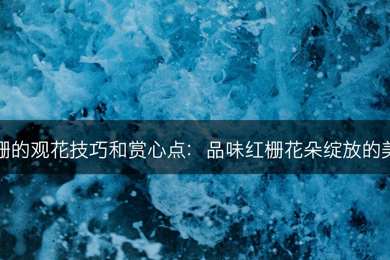 红栅的观花技巧和赏心点：品味红栅花朵绽放的美丽(图1)
