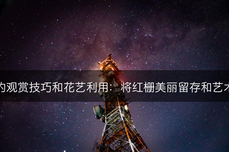 红栅的观赏技巧和花艺利用：将红栅美丽留存和艺术表现(图1)