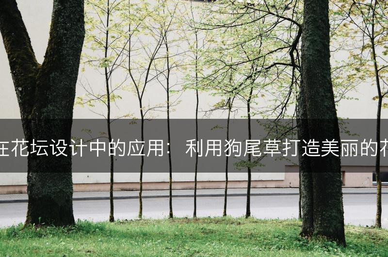 狗尾草在花坛设计中的应用:利用狗尾草打造美丽的花坛景观(图1) 狗尾草在花坛设计中的应用:利用狗尾草打造美丽的花坛景观(图1)