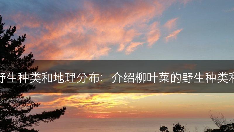 柳叶菜的野生种类和地理分布：介绍柳叶菜的野生种类和分布地区(图1)