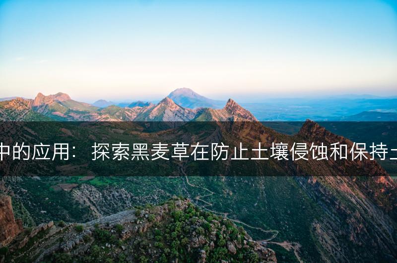 黑麦草在土壤保持中的应用：探索黑麦草在防止土壤侵蚀和保持土壤质量方面的作用(图1)