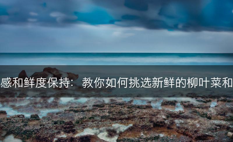 柳叶菜的口感和鲜度保持：教你如何挑选新鲜的柳叶菜和保存其口感(图1)