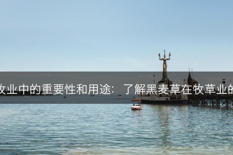 黑麦草在畜牧业中的重要性和用途：了解黑麦草在牧草业的价值和用途(图1)
