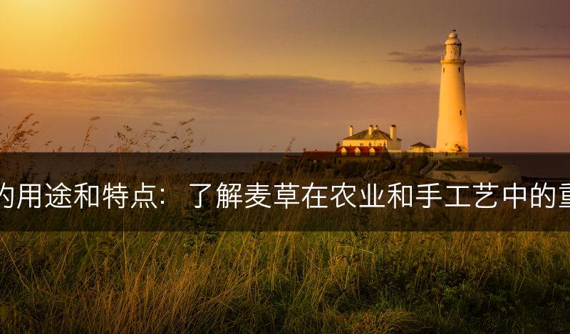 麦草的用途和特点：了解麦草在农业和手工艺中的重要性(图1)