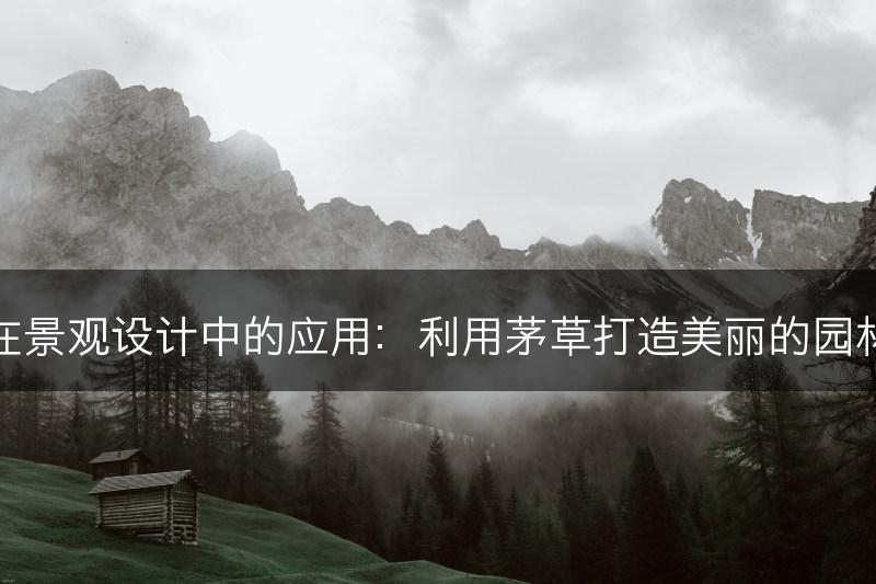 茅草在景观设计中的应用：利用茅草打造美丽的园林景观(图1)