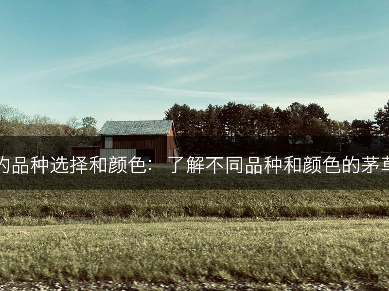 茅草的品种选择和颜色：了解不同品种和颜色的茅草植物(图1)