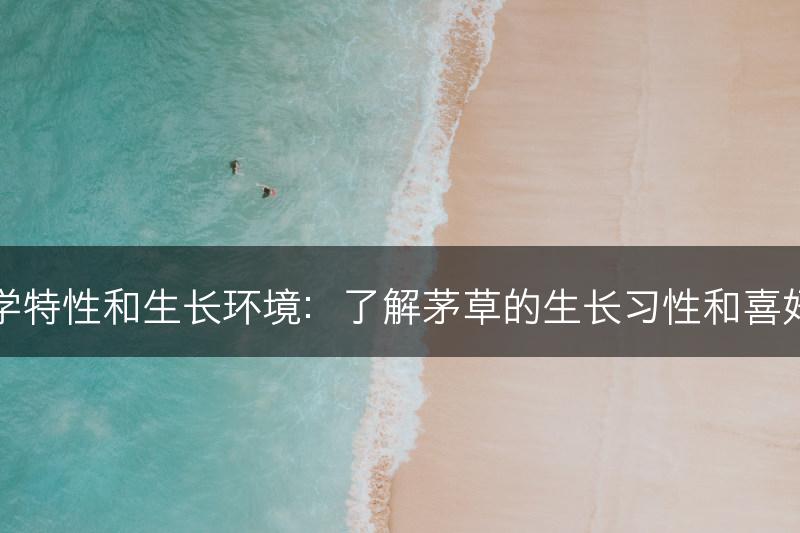 茅草的生物学特性和生长环境：了解茅草的生长习性和喜好的环境条件(图1)