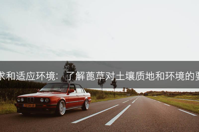 蓖草的土壤要求和适应环境：了解蓖草对土壤质地和环境的要求与适应能力(图1)