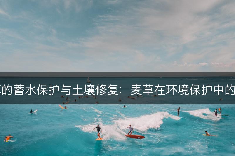 麦草的蓄水保护与土壤修复：麦草在环境保护中的作用(图1)