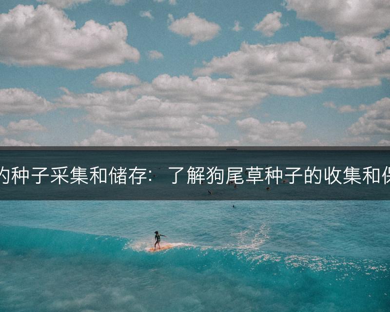狗尾草的种子采集和储存：了解狗尾草种子的收集和保存方法(图1)