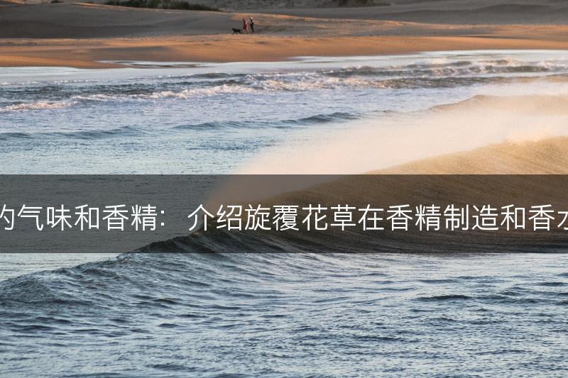 旋覆花草的气味和香精：介绍旋覆花草在香精制造和香水中的应用(图1)