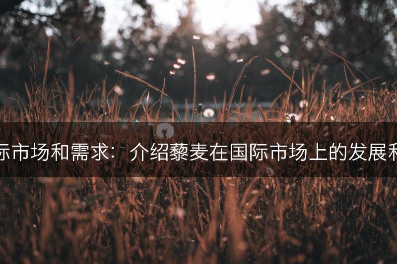 藜麦的国际市场和需求：介绍藜麦在国际市场上的发展和需求趋势(图1)
