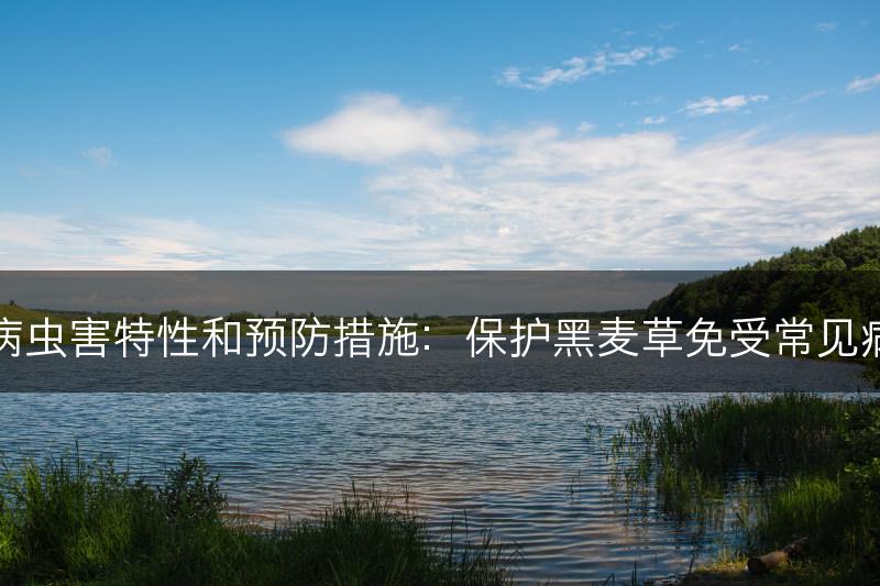 黑麦草的抗病虫害特性和预防措施：保护黑麦草免受常见病虫害的侵害(图1)