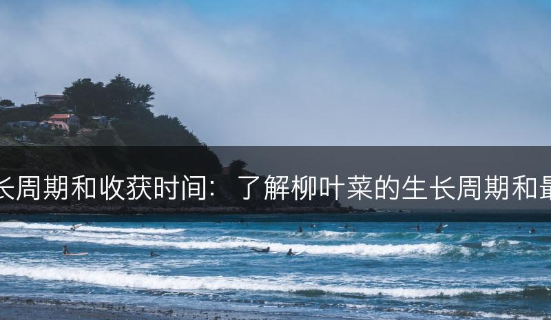 柳叶菜的生长周期和收获时间：了解柳叶菜的生长周期和最佳收获时间(图1)