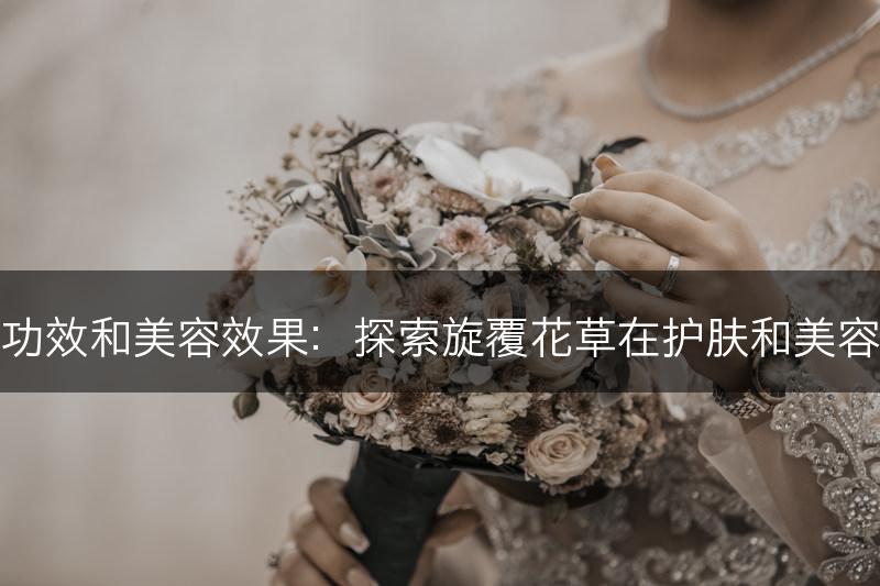 旋覆花草的护肤功效和美容效果：探索旋覆花草在护肤和美容领域的应用效果(图1)