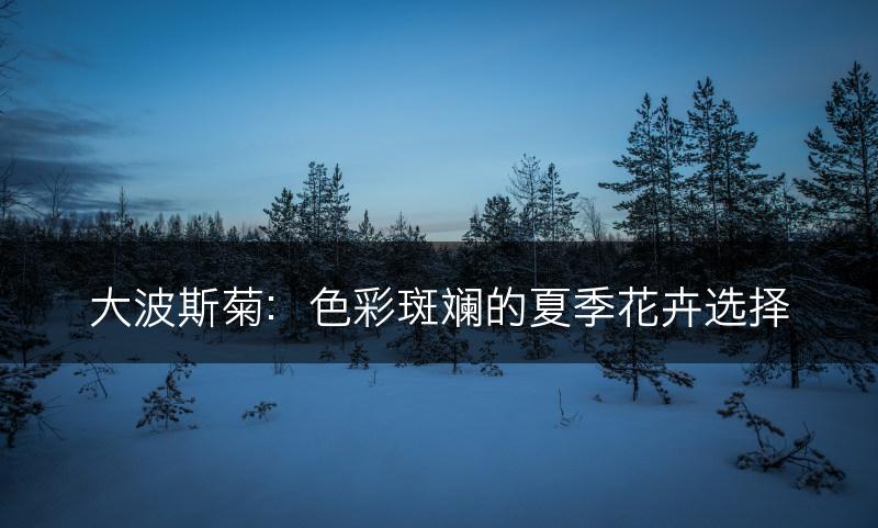 大波斯菊：色彩斑斓的夏季花卉选择(图1)