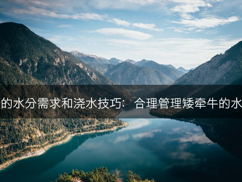 矮牵牛的水分需求和浇水技巧：合理管理矮牵牛的水分供应(图1)