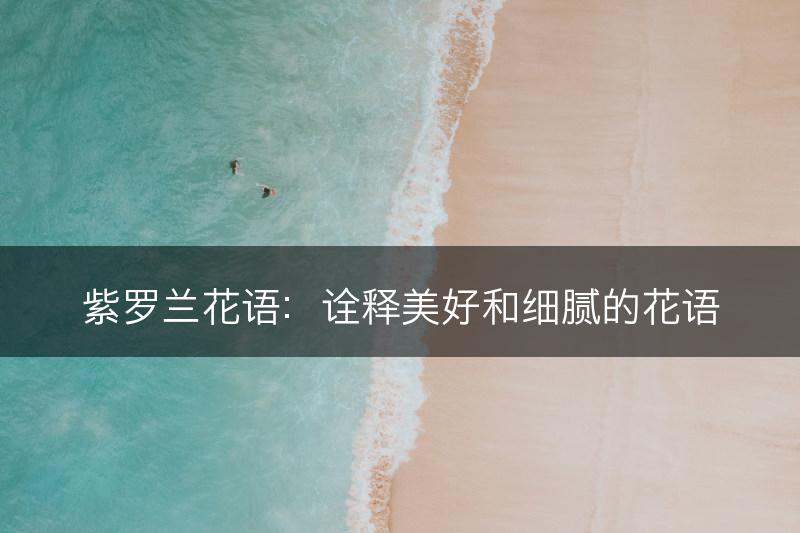 紫罗兰花语：诠释美好和细腻的花语(图1)
