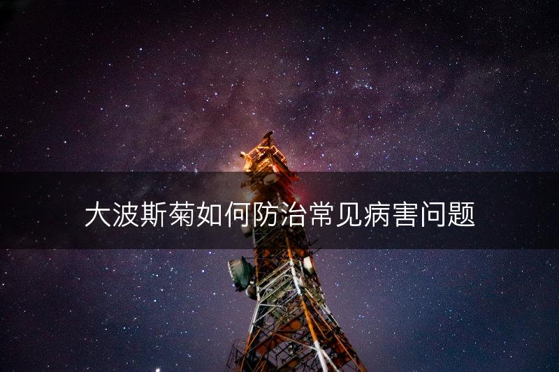 大波斯菊如何防治常见病害问题(图1)