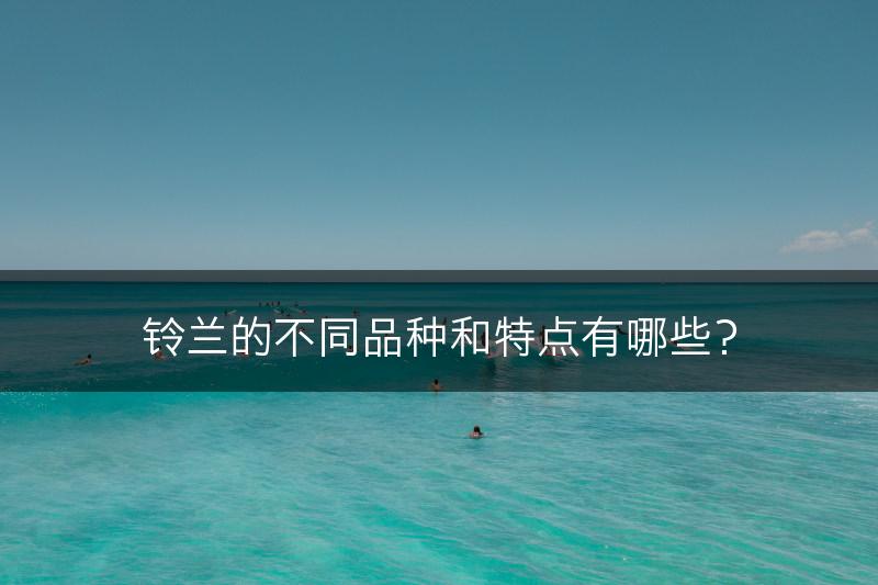 铃兰的不同品种和特点有哪些？(图1)