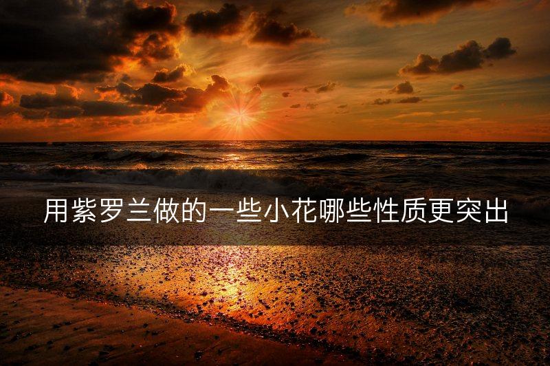 用紫罗兰做的一些小花哪些性质更突出(图1)