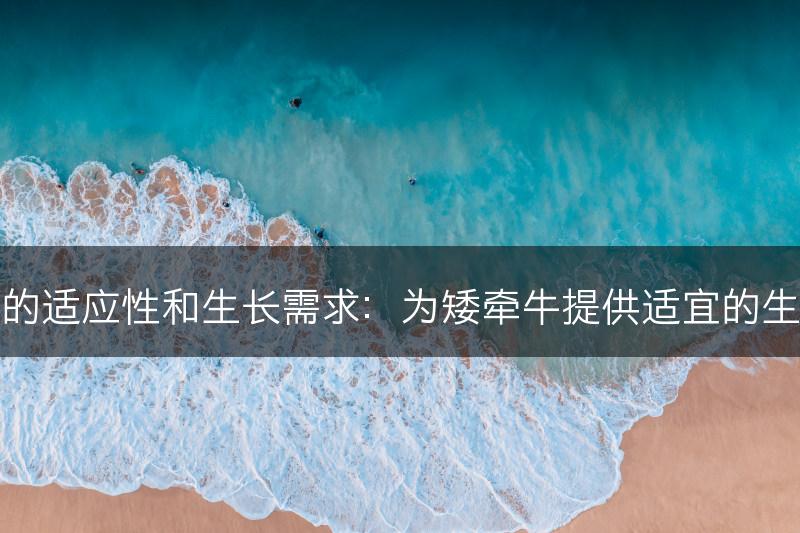 矮牵牛的适应性和生长需求：为矮牵牛提供适宜的生长环境(图1)